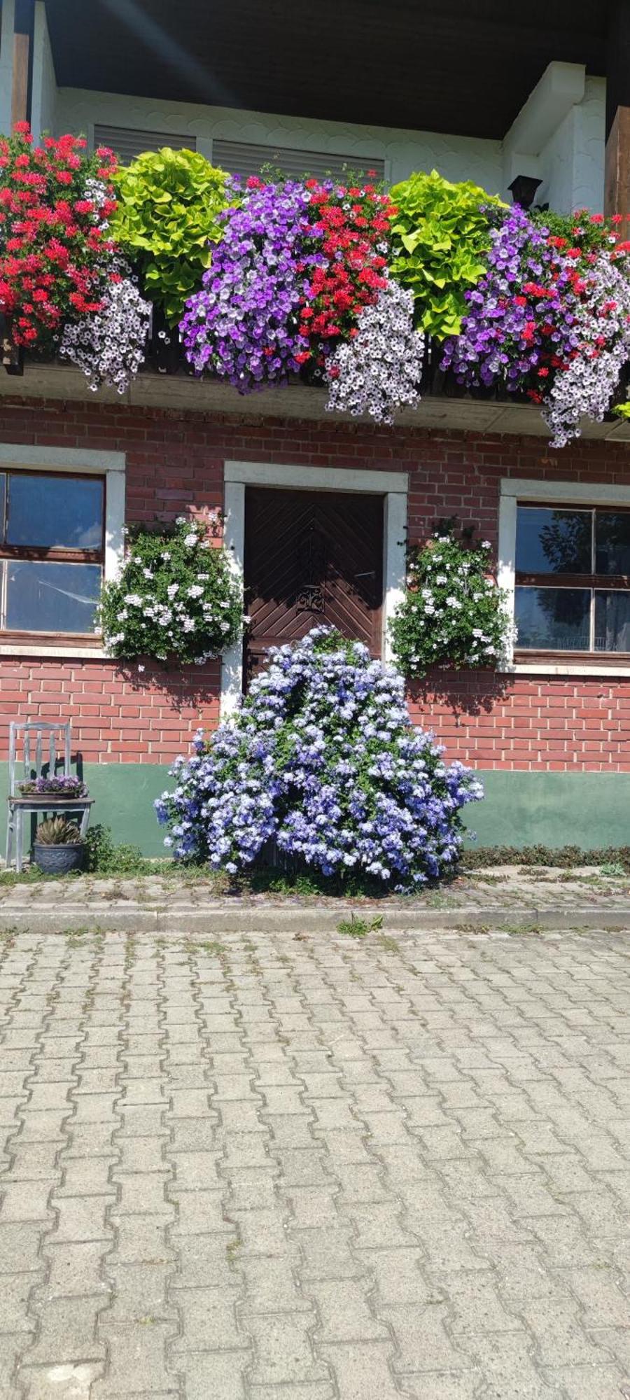 Gaestehaus Fechtig Hergensweiler Eksteriør bilde