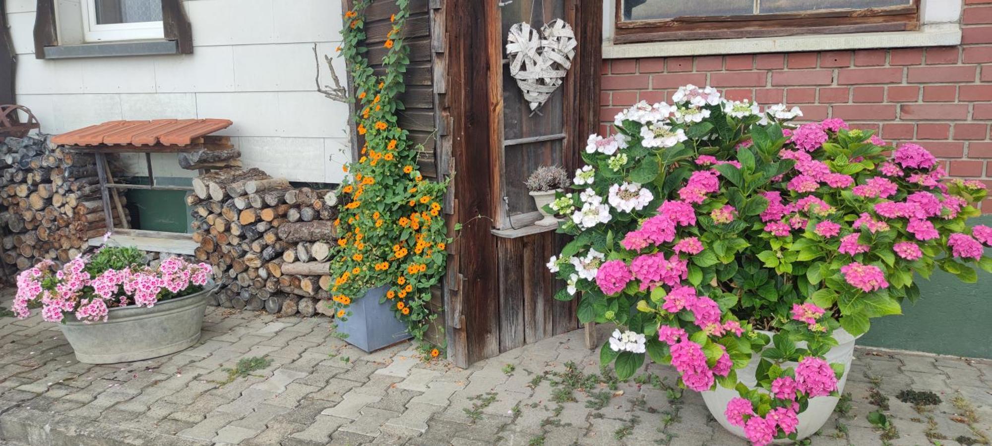 Gaestehaus Fechtig Hergensweiler Eksteriør bilde